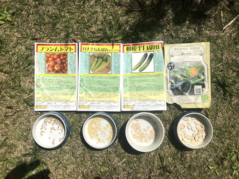風々工房 21 夏野菜の種まき トマト トウガラシ キュウリ ズッキーニ