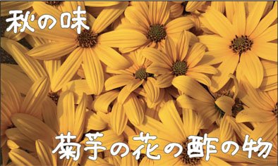 秋の味｜菊芋の花の酢の物_サムネ
